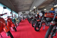 /album/foto/dsc-2233-jpg/