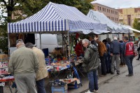 /album/foto/dsc5519-jpg/